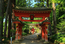 Load image into Gallery viewer, Koyasan and Kumano Kodo walking tour 3 days. From £1314 pp