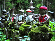 Load image into Gallery viewer, Koyasan and Kumano Kodo walking tour 3 days. From £1314 pp
