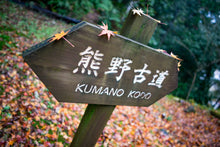 Load image into Gallery viewer, Koyasan and Kumano Kodo walking tour 3 days. From £1314 pp
