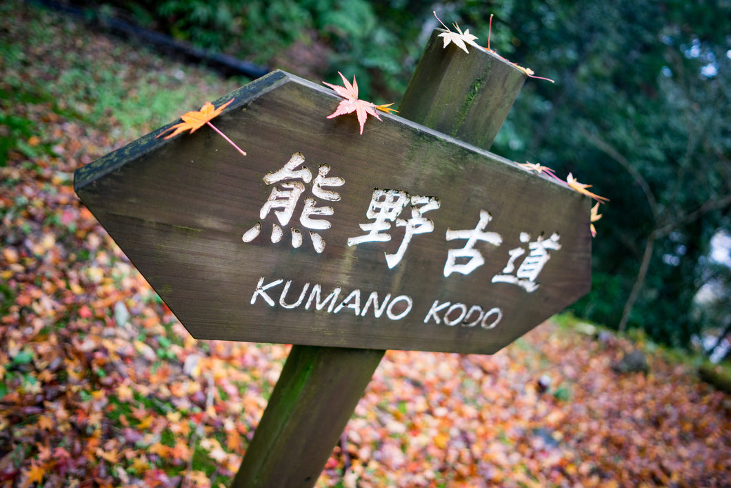 Koyasan and Kumano Kodo walking tour 3 days. From £1314 pp