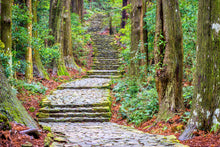 Load image into Gallery viewer, Koyasan and Kumano Kodo walking tour 3 days. From £1314 pp
